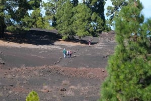 Tenerife: Hiking among volcanoes in the Chinyero Nature Reserve
