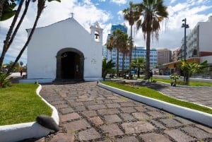 Tenerife: Trip to Puerto de la Cruz