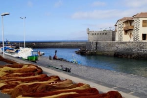 テネリフェ島：プエルト デ ラ クルスへの旅