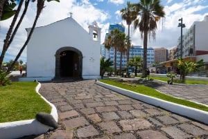 テネリフェ島：プエルト デ ラ クルスへの旅