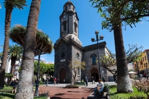 テネリフェ島：プエルト デ ラ クルスへの旅