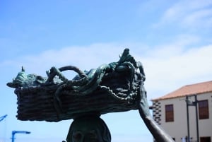 テネリフェ島：プエルト デ ラ クルスへの旅