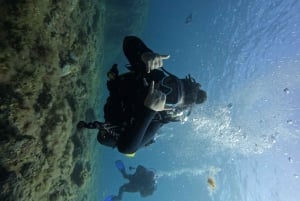 Tenerife: Beginner's Dive at a Spot with Turtle Sightings