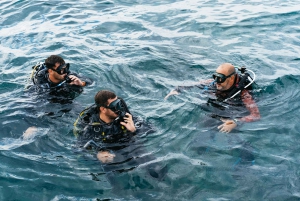 Tenerife: Scuba Diving Experience with Instructor and Gear
