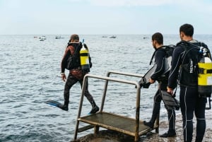Tenerife: Scuba Diving Experience with Instructor and Gear