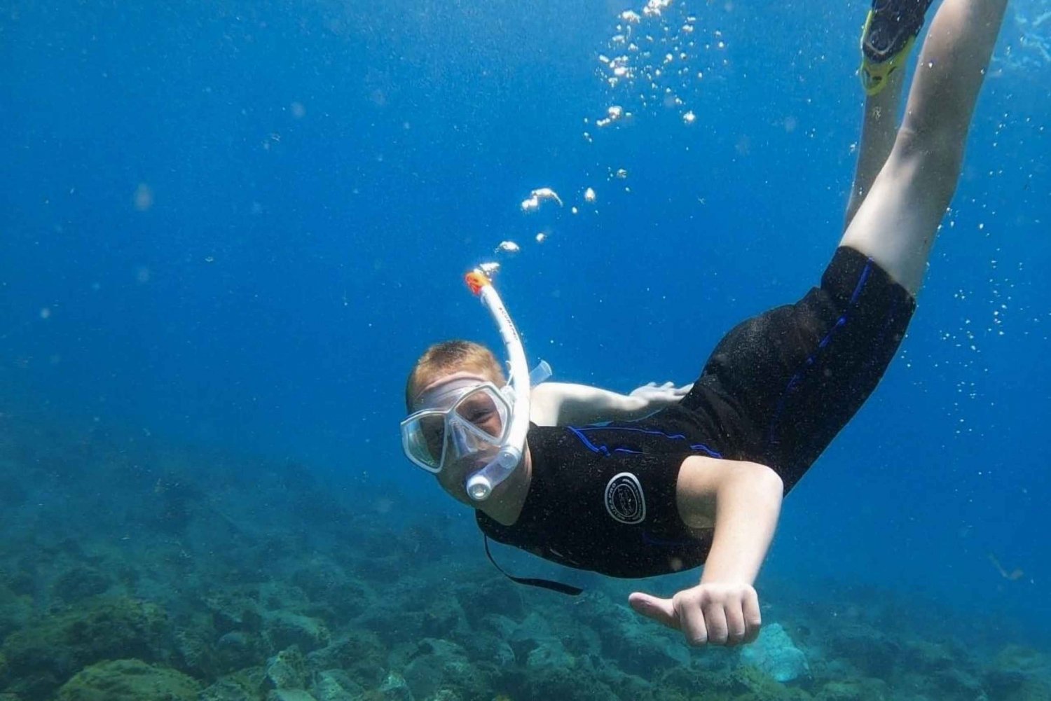 Tenerife: Turtle Bay Snorkel Discovery with Video