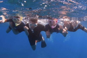 Teneryfa: Turtle Bay Snorkel Discovery z materiałem wideo