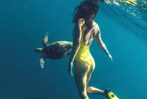Tenerife: Turtle Bay snorkel ontdekking met video