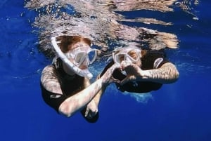Teneryfa: Turtle Bay Snorkel Discovery z materiałem wideo