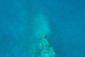 Tenerife: Underwater Lava Tongues Snorkel Excursion