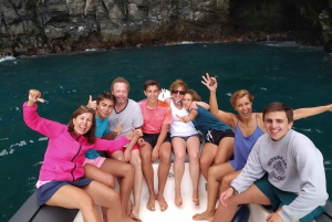 Tenerife: Underwater Lava Tongues Snorkel Excursion