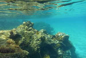 Tenerife: Underwater Lava Tongues Snorkel Excursion