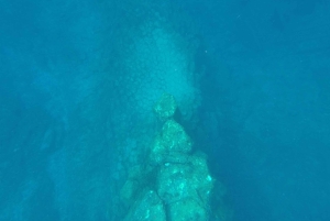 Tenerife: Underwater Lava Tongues Snorkel Excursion