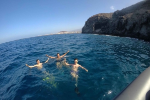 Tenerife: Underwater Lava Tongues Snorkel Excursion