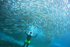Tenerife: Underwater Walk - Sea Trek Experience