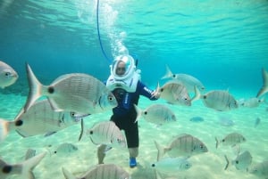 Tenerife: Underwater Walk - Sea Trek Experience