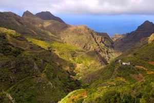 Tenerife: Anaga Mountains and Laurel Forest Hiking Tour