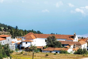 Tenerife: Vilaflor, Winery, and Aloe Vera Plantation Tour