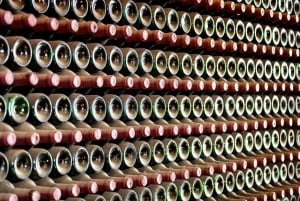 Tenerife: Vilaflor, Winery, and Aloe Vera Plantation Tour