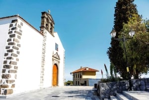 Tenerife: Vilaflor, Winery, and Aloe Vera Plantation Tour