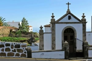 Tenerife: Vilaflor, Winery, and Aloe Vera Plantation Tour