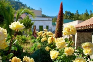 Tenerife: Vilaflor, Winery, and Aloe Vera Plantation Tour