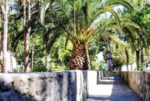 Tenerife: Vilaflor, Winery, and Aloe Vera Plantation Tour
