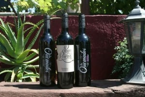 Tenerife: Vilaflor, Winery, and Aloe Vera Plantation Tour