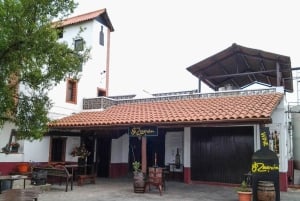 Tenerife: Vilaflor, Winery, and Aloe Vera Plantation Tour