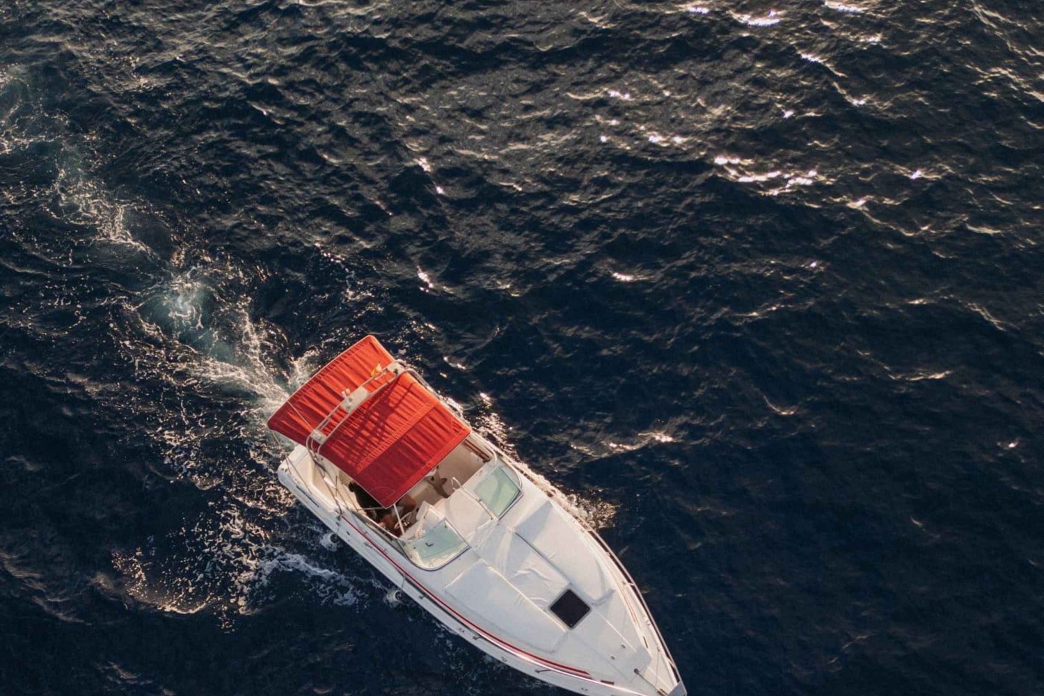 Tenerife: Experiencia VIP de 3 horas en barco privado de lujo