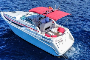 Tenerife: Experiencia VIP de 3 horas en barco privado de lujo