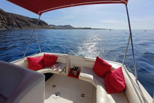 Tenerife: Experiencia VIP de 3 horas en barco privado de lujo