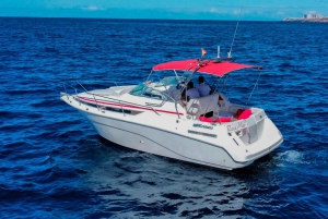 Tenerife: Experiencia VIP de 3 horas en barco privado de lujo