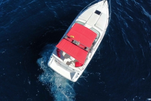 Tenerife: Experiencia VIP de 3 horas en barco privado de lujo