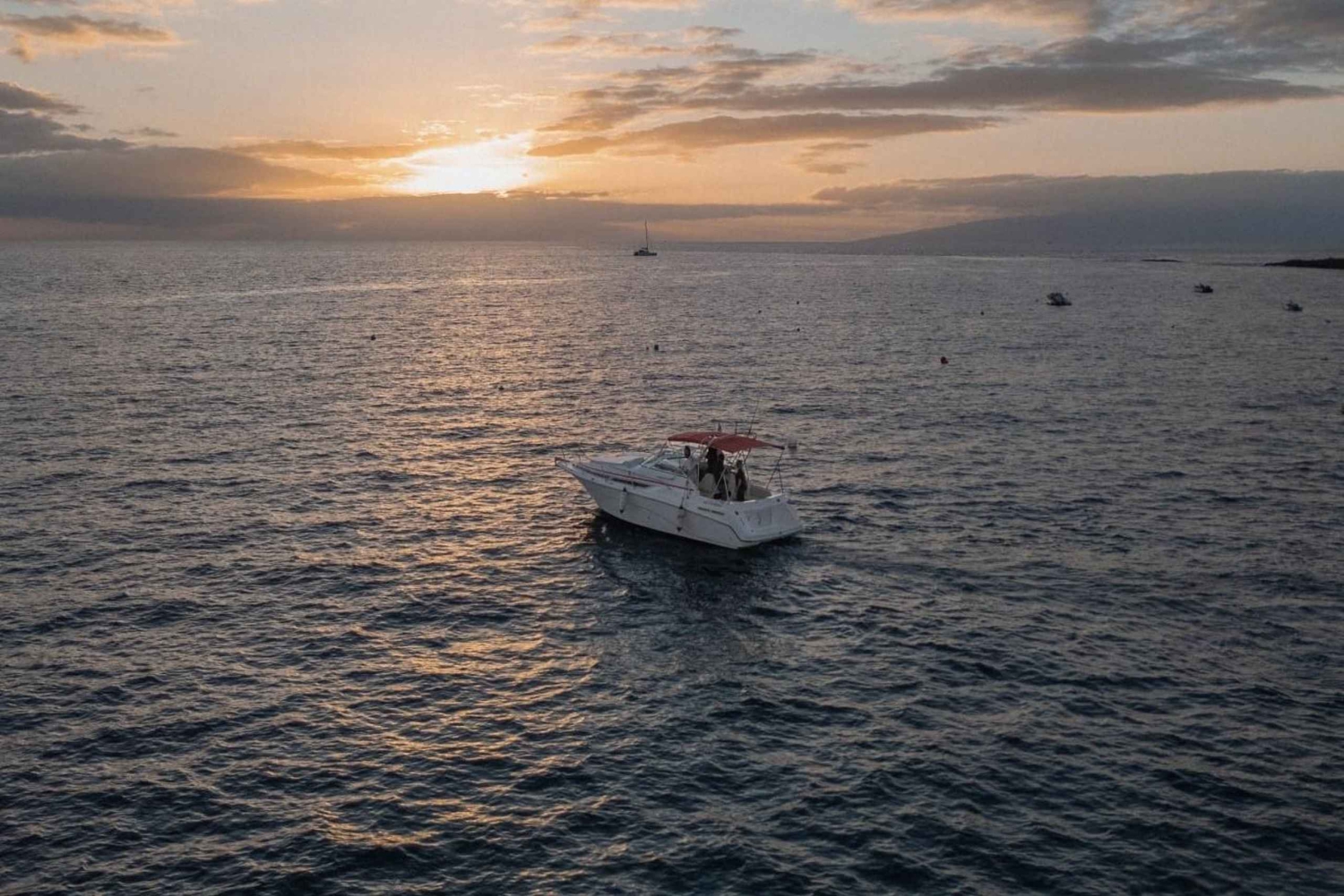 Tenerife: VIP Private Luxury 2 Hour Sunset Boat Charter