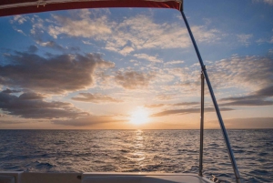 Tenerife: VIP Private Luxury 2 Hour Sunset Boat Charter
