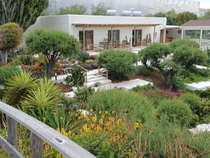  Tenerife Wedding Planners since 1995