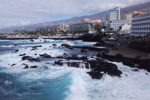 Tenerife: wellness experience with psychology and mindfulness practices