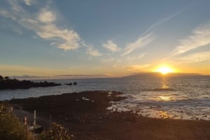 Tenerife: wellness experience with psychology and mindfulness practices