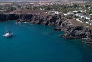 テネリフェ島クジラとイルカウォッチングボートツアー