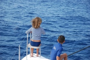 テネリフェ島クジラとイルカウォッチングボートツアー