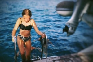 テネリフェ島クジラとイルカウォッチングボートツアー