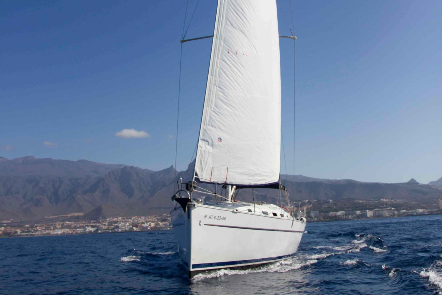 Tenerife: Whale and Dolphin Watching Tour by Sailboat