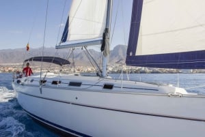 Tenerife: Whale and Dolphin Watching Tour by Sailboat