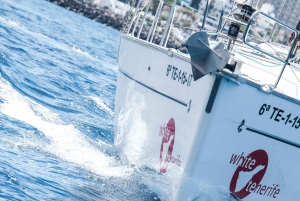 Tenerife: tour avistamiento de ballenas y delfines en velero
