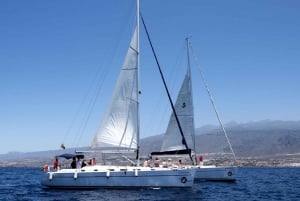 Tenerife: Whale and Dolphin Watching Tour by Sailboat