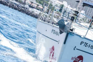 Tenerife: Whale and Dolphin Watching Tour by Sailboat