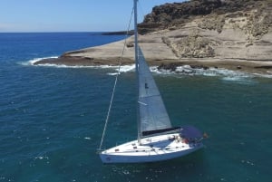 Tenerife: Whale and Dolphin Watching Tour by Sailboat