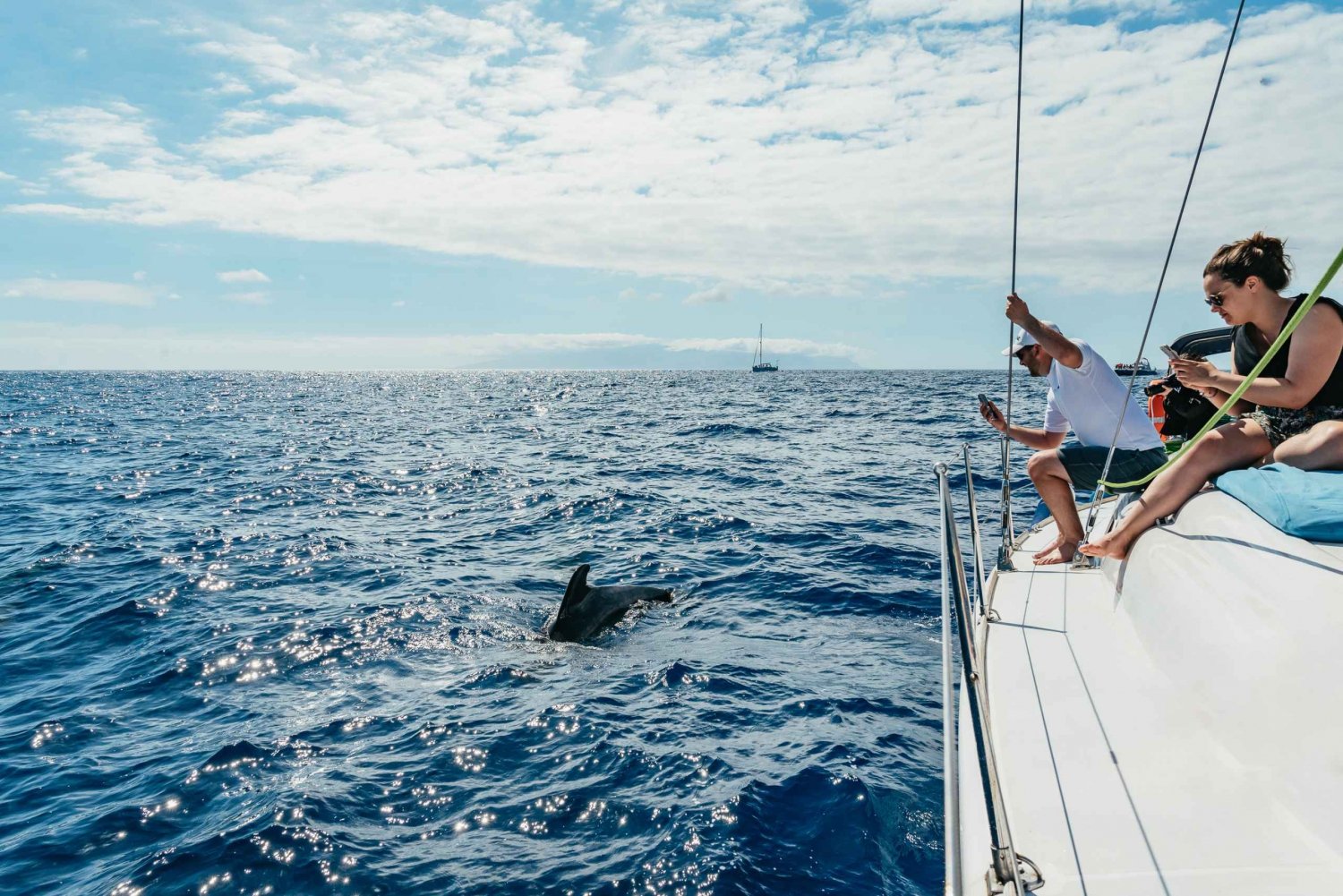Teneriffa: Valas- ja delfiinimatka, juomat ja purtavaa
