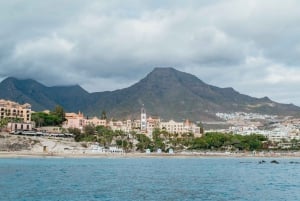 Tenerife: avistamiento de delfines y ballenas con aperitivo